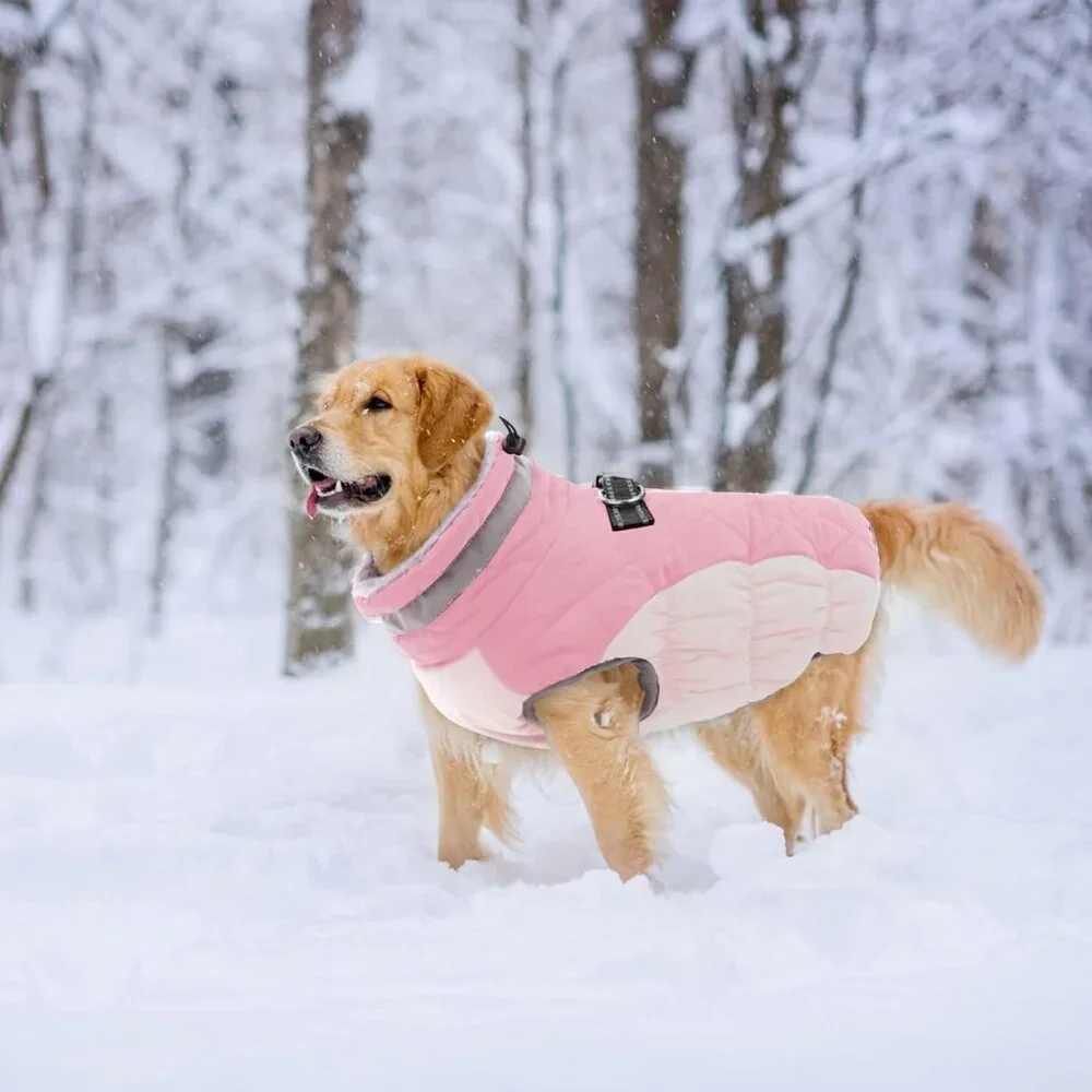 Lelepet Dog Coat